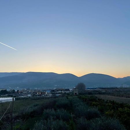 Harmony Villa Berat Kültér fotó