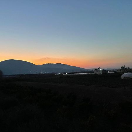 Harmony Villa Berat Kültér fotó