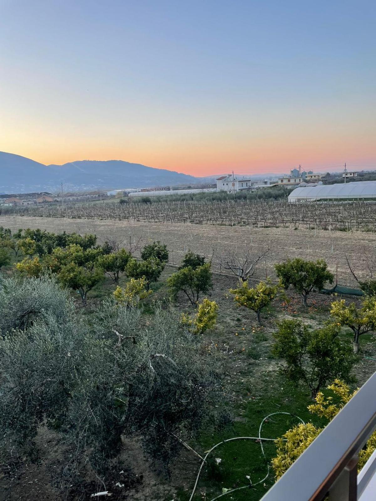 Harmony Villa Berat Kültér fotó