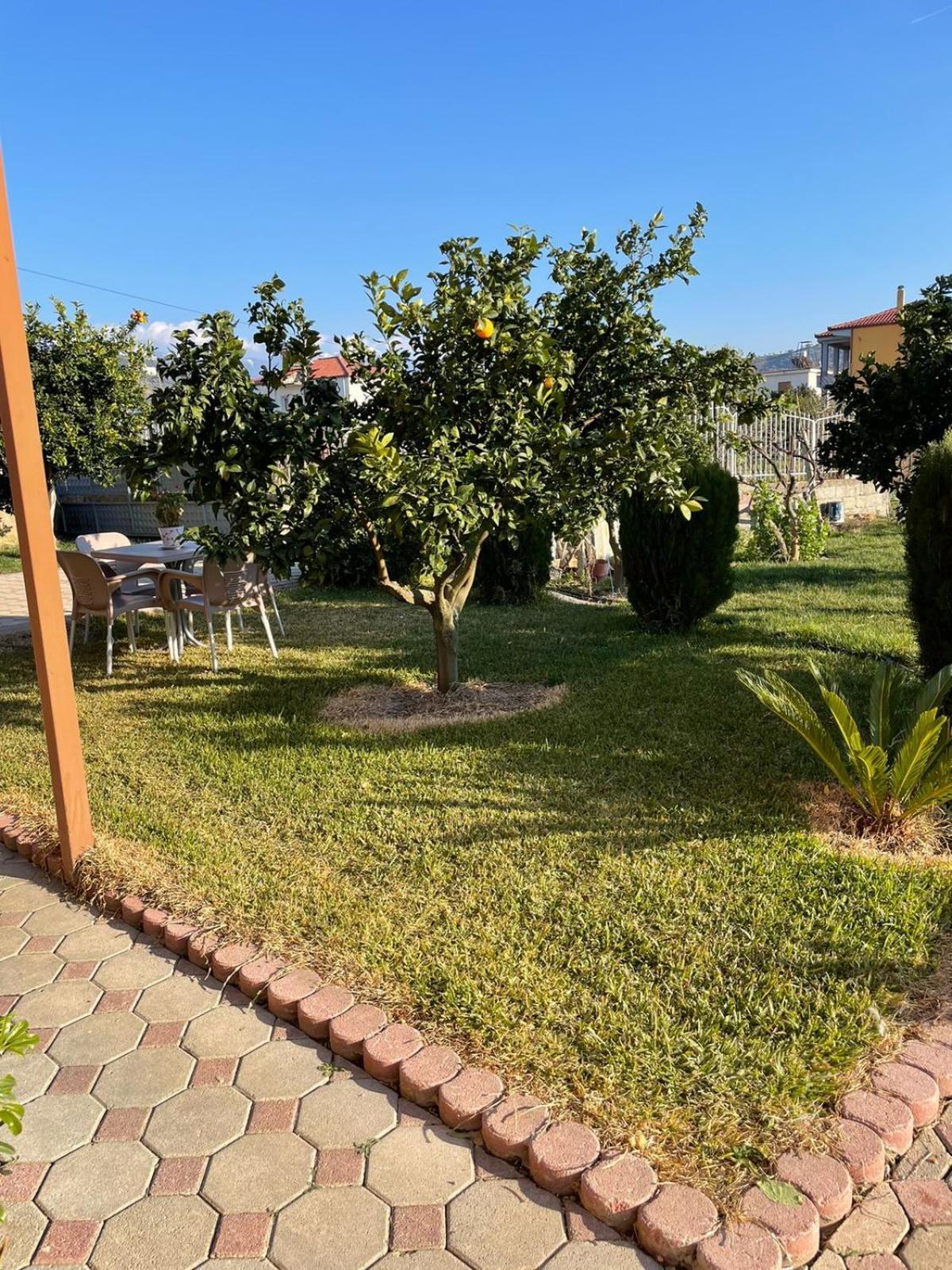 Harmony Villa Berat Kültér fotó